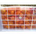 Fob Shenzhen Nanfeng baby mandarin